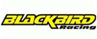 Blackbirdracing