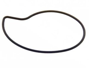 Těsnění vodní pumpy Piaggio