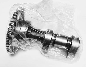 Vačka ventilů sací Dinli 283-31601,31602 SDL450-227