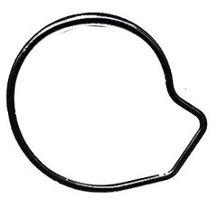 Těsnění vodního čerpadla Dinli E130084-00 SDL270-084