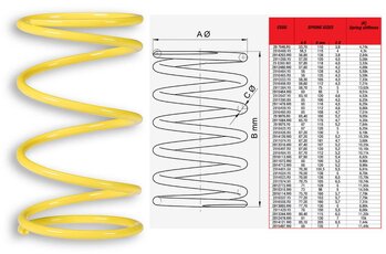 Kontrastní pružina pro Aprilia, Gilera, Piaggio Leader Motor MHR