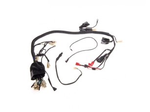 Kabeláž pro ATV 250 STXE verze B