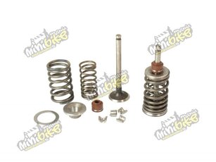 Sada ventilů na motor ATV110/125cc i Pitbike110cc DAX