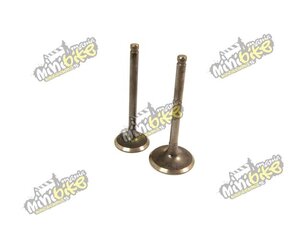 Ventily na skútry a ATV s motorem GY6 150ccm automat