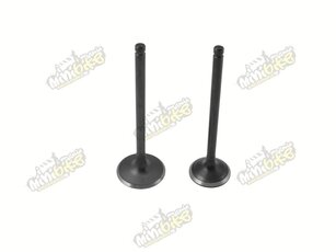 Ventily pro Zongshen 250cc