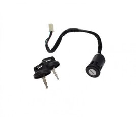 Spínací skříňka pro Bashan BS250S-5 verze2