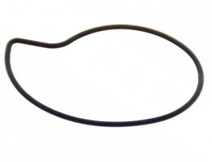 Těsnění vodní pumpy Piaggio