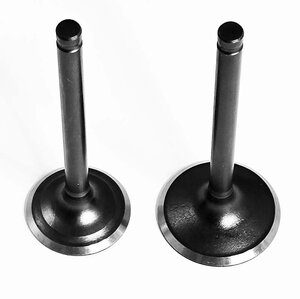 Ventily pro pitbike 125cc 27mm 23mm Ventily pro pitbike 125cc 27mm 23mm