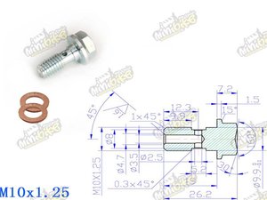 Holender M10x1,25 19mm také pro Nissin brzdy