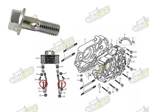 Holender M8x23 pro ZS W150