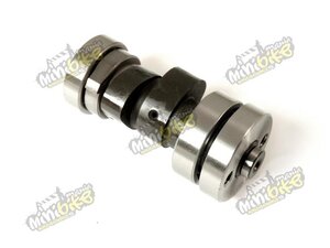 Vačka ZS155 Vačka ZS155