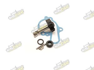 Vodní pumpa sada na opravu pro motory Minarelli AM6 345