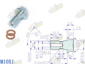 Holendr M10x1,00 19mm chrom i pro Brembo systém Holendr M10x1,00 19mm chrom i pro Brembo systém