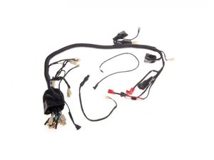 Kabeláž pro ATV 250 STXE verze B Kabeláž pro ATV 250 STXE verze B