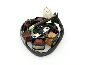 Stator cívka zapalovací 6 cívek pro ATV, Pitbike 110-125ccm