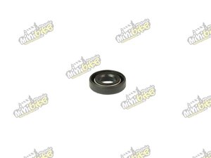 Gufero vodní pumpy CF250 0110-080005