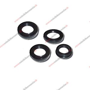 Sada gufer na motor CG125/150 5ks