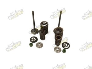 Ventily CG250 Bashan250cc Shineray250cc komplet