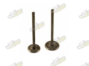 Ventily pro CG250, Bashan250cc a Shineray250cc