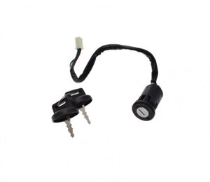 Spínací skříňka pro Bashan BS250S-5 verze2