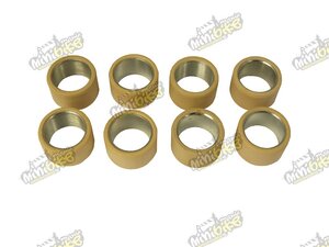 Válečky variátoru 30x18 25g pro JourneyMan Gladiator X6 CF500